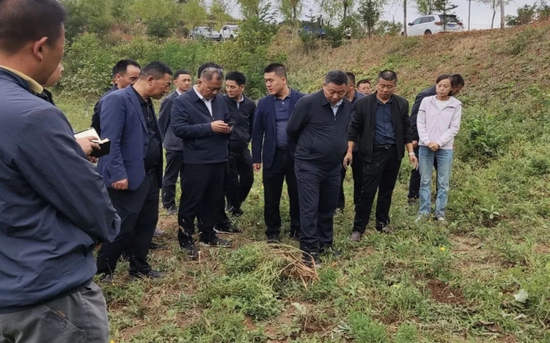 天水市政協(xié)副主席、清水縣委書記馬越垠到“榮程百草莊園”中藥材試驗(yàn)基地調(diào)研中草藥產(chǎn)業(yè)發(fā)展工作