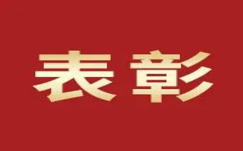奮進2023，這些集體和個人無上“榮”光