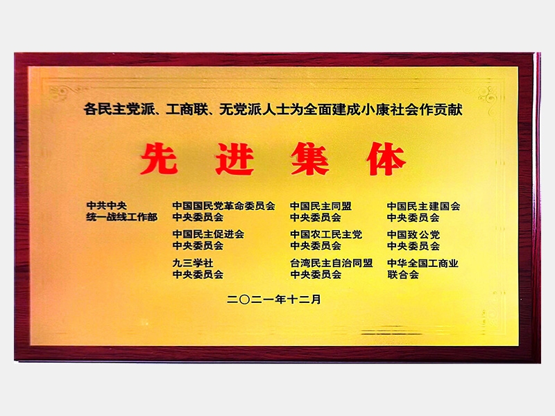 各民主黨派、工商聯(lián)、無黨派人士為全面建成小康社會(huì)作貢獻(xiàn)先進(jìn)集體